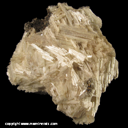 Mineral Specimen: Cerussite variety: Jackstraw from Flux Mine , Flux Gulch, Alum Gulch, Harshaw District, Patagonia Mts, Santa Cruz Co., Arizona Mineral Specimen: Cerussite variety: Jackstraw from Flux Mine , Flux Gulch, Alum Gulch, Harshaw District, Patagonia Mts, Santa Cruz Co., Arizona