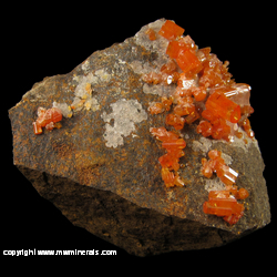 Minerals Specimen: Vanadinite, Calcite from Mina San Carlos, San Carlos, Mun. de Manuel Benavides, Chihuahua, Mexico Minerals Specimen: Vanadinite, Calcite from Mina San Carlos, San Carlos, Mun. de Manuel Benavides, Chihuahua, Mexico