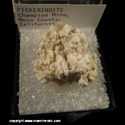 Minerals Specimen: Pickeringite from Champion Mine, Champion, Marquette Co., Michigan Minerals Specimen: Pickeringite from Champion Mine, Champion, Marquette Co., Michigan
