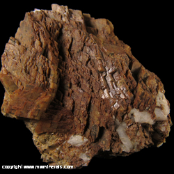 Minerals Specimen: Siderite from Pacoima Canyon, San Gabiel Co., California Minerals Specimen: Siderite from Pacoima Canyon, San Gabiel Co., California