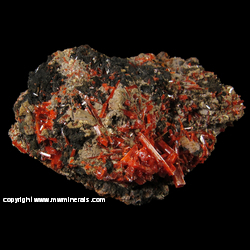 Mineral Specimen: Crocoite, Gibbsite on Goethite from Red Lead Mine, Dundas, Tasmania, Australia Mineral Specimen: Crocoite, Gibbsite on Goethite from Red Lead Mine, Dundas, Tasmania, Australia