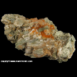 Minerals Specimen: Desautelsite, Artinite from Artinite pit, Clear Creek area, Picacho Peak, New Idria Dist., San Benito Co., California Minerals Specimen: Desautelsite, Artinite from Artinite pit, Clear Creek area, Picacho Peak, New Idria Dist., San Benito Co., California