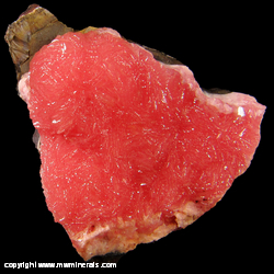 Minerals Specimen: Rhodochrosite from N'Chwaning II Mine, Kuruman, Kalahari manganese fields, Northern Cape Province, South Africa Minerals Specimen: Rhodochrosite from N'Chwaning II Mine, Kuruman, Kalahari manganese fields, Northern Cape Province, South Africa