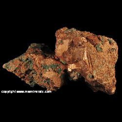 Minerals Specimen: Copper Crystals with Casts after Calcite, Chlorite, Microcline, Epidote from Caledonia Mine, Ontonagon Co., Michigan Minerals Specimen: Copper Crystals with Casts after Calcite, Chlorite, Microcline, Epidote from Caledonia Mine, Ontonagon Co., Michigan