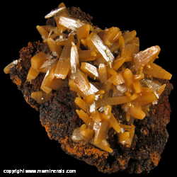 Minerals Specimen: Wulfenite from Mina Ojuela, Mapimi, Durango, Mexico Minerals Specimen: Wulfenite from Mina Ojuela, Mapimi, Durango, Mexico