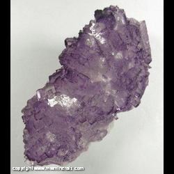 Mineral Specimen: Fluorite from Tule Mine, Melchor Muzquiz, Coahuila, Mexico Mineral Specimen: Fluorite from Tule Mine, Melchor Muzquiz, Coahuila, Mexico