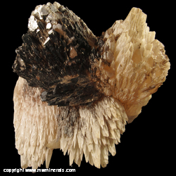 Mineral Specimen: Calcite coated with Bitumen and Benstonite, Sphalerite from Minerva #1 Mine, Cave-In-Rock, Hardin Co., Illinois Mineral Specimen: Calcite coated with Bitumen and Benstonite, Sphalerite from Minerva #1 Mine, Cave-In-Rock, Hardin Co., Illinois
