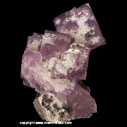 Mineral Specimen: Rubyjack Sphalerite and Druze Calcite on Fluorite from Hardin Co., Illinois Mineral Specimen: Rubyjack Sphalerite and Druze Calcite on Fluorite from Hardin Co., Illinois