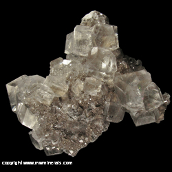 Mineral Specimen: Calcite, Pyrite from Linwood Mine, Buffalo, Scott Co., Iowa Mineral Specimen: Calcite, Pyrite from Linwood Mine, Buffalo, Scott Co., Iowa
