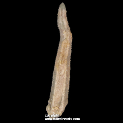 Mineral Specimen: Curved Quartz Crystal with Secondary Druze Overgrowth from Boekenhoutshoek area, Mkobola, Nkangala, Mpumalanga, South Africa Mineral Specimen: Curved Quartz Crystal with Secondary Druze Overgrowth from Boekenhoutshoek area, Mkobola, Nkangala, Mpumalanga, South Africa
