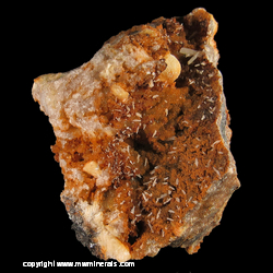 Mineral Specimen: Cerussite, Spherical Barite from Schauinsland Pb-Zn mining district, Black Forest, Baden-Wurttemberg, Germany Mineral Specimen: Cerussite, Spherical Barite from Schauinsland Pb-Zn mining district, Black Forest, Baden-Wurttemberg, Germany