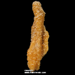 Mineral Specimen: Calcite Stalactite with Selenite Crystals from Elk Creek locality, Dalzell, Meade Co., South Dakota Mineral Specimen: Calcite Stalactite with Selenite Crystals from Elk Creek locality, Dalzell, Meade Co., South Dakota