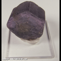 Mineral Specimen: Purple Fluorapatite with Brown Core from Parelhas, Rio Grande do Sul, Brazil Mineral Specimen: Purple Fluorapatite with Brown Core from Parelhas, Rio Grande do Sul, Brazil