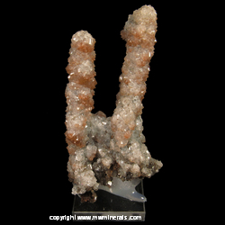 Mineral Specimen: Calcite Stalactites from Chihuahua, Mexico Mineral Specimen: Calcite Stalactites from Chihuahua, Mexico