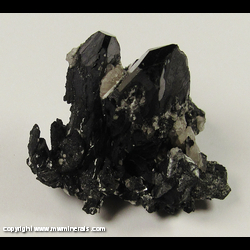 Minerals Specimen: Wodginite from Itatia Mine, Conselheiro Pena, Minas Gerais, Brazil Minerals Specimen: Wodginite from Itatia Mine, Conselheiro Pena, Minas Gerais, Brazil