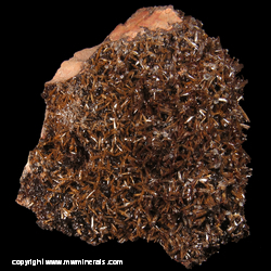 Mineral Specimen: Vandanite variety: Endlichite (Arsenian) from Chihuahua, Mexico Mineral Specimen: Vandanite variety: Endlichite (Arsenian) from Chihuahua, Mexico