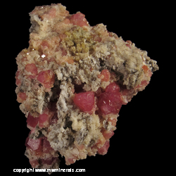 Mineral Specimen: Raspberry Garnet (Grossualar) in Quartz from Sierra de Cruces, Mun. de Sierra Mojada, Coahuila, Mexico Mineral Specimen: Raspberry Garnet (Grossualar) in Quartz from Sierra de Cruces, Mun. de Sierra Mojada, Coahuila, Mexico