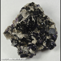 Mineral Specimen: Fluorite, Quartz, Calcite, Galena, Sphalerite from W. Davis-Deardorff Mine, Cave-In-Rock, Hardin Co., Illinois