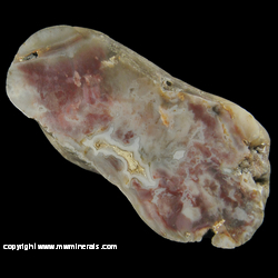 Mineral Specimen: Michigan Oolitic Agate from Green Oak Twp. near Brighton, Livingston Co., Michigan Mineral Specimen: Michigan Oolitic Agate from Green Oak Twp. near Brighton, Livingston Co., Michigan