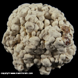 Mineral Specimen: Calcite - Cave Speliotherm from Bassett Products Co. quarry, Monticello, Wayne Co., Kentucky Mineral Specimen: Calcite - Cave Speliotherm from Bassett Products Co. quarry, Monticello, Wayne Co., Kentucky