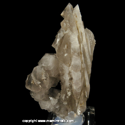 Mineral Specimen: Smoky Quartz Pseudomorph from Bor Pit (Boron Pit), Dal'negorsk B deposit, Dal'negorsk, Primorskiy Kray, Far-Eastern Region, Russia Mineral Specimen: Smoky Quartz Pseudomorph from Bor Pit (Boron Pit), Dal'negorsk B deposit, Dal'negorsk, Primorskiy Kray, Far-Eastern Region, Russia