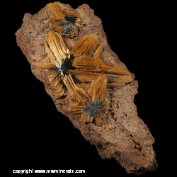Mineral Specimen: Rutile Epitaxial Growth on Hematite Flowers on Matrix from Novo Horizonte, Bahia, Brazil Mineral Specimen: Rutile Epitaxial Growth on Hematite Flowers on Matrix from Novo Horizonte, Bahia, Brazil