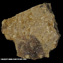 Mineral Specimen: Carpholite from Horni Slavkov (Schlaggenwald), Karlovy Vary Region, Bohemia, Czech Republic Mineral Specimen: Carpholite from Horni Slavkov (Schlaggenwald), Karlovy Vary Region, Bohemia, Czech Republic