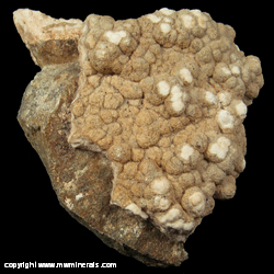 Mineral Specimen: Chromian Alumohydrocalcite, Hydromagnesite from East Mount Hamilton area, Mount Hamilton, Diablo Range, Santa Clara Co., California Mineral Specimen: Chromian Alumohydrocalcite, Hydromagnesite from East Mount Hamilton area, Mount Hamilton, Diablo Range, Santa Clara Co., California