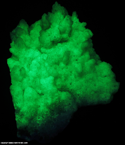 Fluorescent Mineral Specimen: Celestine Included In Calcite and Calcite Casts after Celestine, Posssible Jarosite from Mina Mojina, Rancho de Mojina, Ricardo Flores Magon, Mun. de Buenaventura, Chihuahua, Mexico Fluorescent Mineral Specimen: Celestine Included In Calcite and Calcite Casts after Celestine, Posssible Jarosite from Mina Mojina, Rancho de Mojina, Ricardo Flores Magon, Mun. de Buenaventura, Chihuahua, Mexico