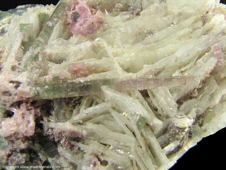 Mineral Specimen: Tourmaline (Elbaite), Albite, Lepidolite from Pederneira claim, Sao Jose da Safira, Doce valley, Minas Gerais, Brazil