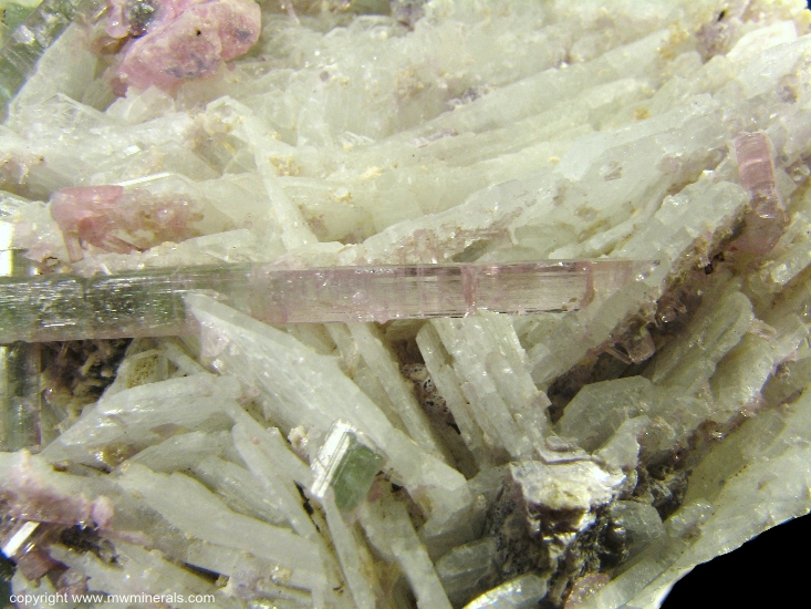 Mineral Specimen: Tourmaline (Elbaite), Albite, Lepidolite from Pederneira claim, Sao Jose da Safira, Doce valley, Minas Gerais, Brazil