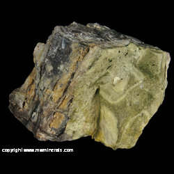 Mineral Specimen: Opalized Green Petrified Wood from Hell's Canyon, Oregon/Idaho border area