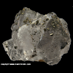 Mineral Specimen: Chalcopyrite Crystals on and Included in Colorless Flourite from Hardin Co., Illinois Mineral Specimen: Chalcopyrite Crystals on and Included in Colorless Flourite from Hardin Co., Illinois