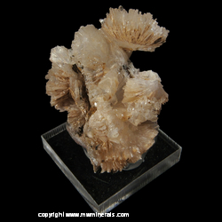 Minerals Specimen: Hemimorphite from Santa Eulalia District, Mun. de Aquiles Serdan, Chihuahua, Mexico