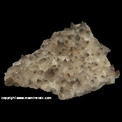 Minerals Specimen: Marcasite Included and on the Surface of Calcite Crystals, Small Casts after Unkown Crystals from Dornburg Mine, Ramsbeck, Meschede, Sauerland, North Rhine-Westphalia, Germany Minerals Specimen: Marcasite Included and on the Surface of Calcite Crystals, Small Casts after Unkown Crystals from Dornburg Mine, Ramsbeck, Meschede, Sauerland, North Rhine-Westphalia, Germany