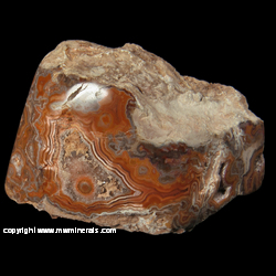 Mineral Specimen: Agate with Quartz/Amethyst Crystals from Dryhead Agate Mine, Bighorn River area, Pryor Mts, Carbon Co., Montana Mineral Specimen: Agate with Quartz/Amethyst Crystals from Dryhead Agate Mine, Bighorn River area, Pryor Mts, Carbon Co., Montana