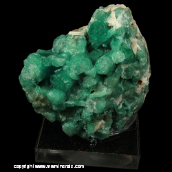 Mineral Specimen: Emerald from Chivor Mine, Mun. de Chivor, Guavio-Guateque Mining Dist., Boyaca Dept., Colombia Mineral Specimen: Emerald from Chivor Mine, Mun. de Chivor, Guavio-Guateque Mining Dist., Boyaca Dept., Colombia