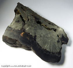 Mineral Specimen: Marcasite and Botryoidal Sphalerite from Black Jack Mine, Galena, Jo Daviess Co., Missouri Mineral Specimen: Marcasite and Botryoidal Sphalerite from Black Jack Mine, Galena, Jo Daviess Co., Missouri