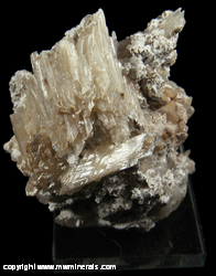 Minerals Specimen: Prehnite Crystals from Jeffrey Quarry, Asbestos, Les Sources RCM, Estrie, Quebec, Canada Minerals Specimen: Prehnite Crystals from Jeffrey Quarry, Asbestos, Les Sources RCM, Estrie, Quebec, Canada
