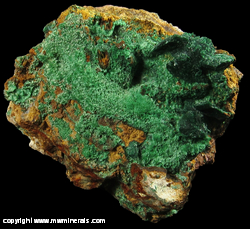 Minerals Specimen: Malachite and Malachite Pseudomorh after Azurite from Bisbee, Warren District, Mule Mts, Cochise Co., Arizona
