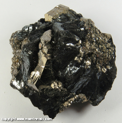 Mineral Specimen: Pyrite and Micaeous Hematite from Elba Island, Livorno Province, Tuscany, Italy Mineral Specimen: Pyrite and Micaeous Hematite from Elba Island, Livorno Province, Tuscany, Italy