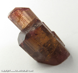 Mineral Specimen: Gemmy Bicolor Tourmaline from Barra do Salinas, Coronel Murta, Minas Gerais, Brazil Mineral Specimen: Gemmy Bicolor Tourmaline from Barra do Salinas, Coronel Murta, Minas Gerais, Brazil