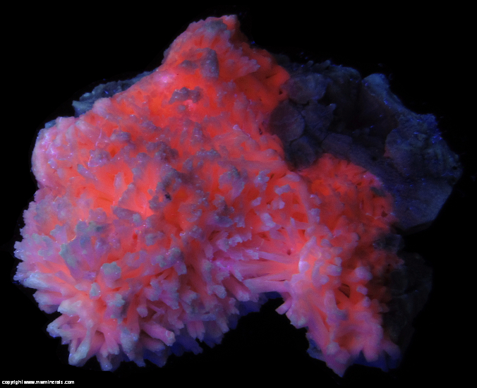 Fluorescent Mineral Specimen: Kutnohorite from Wessels Mine, Hotazel, Kalahari manganese field, Northern Cape Prov., South Africa Fluorescent Mineral Specimen: Kutnohorite from Wessels Mine, Hotazel, Kalahari manganese field, Northern Cape Prov., South Africa