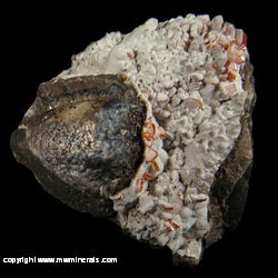 Minerals Specimen: Wulfenite Partially Coated with Calcite, Unidentified Botryoidal Material from Jianshan Mine, Ruoqiang Co., Bayin'gholin Auton. Pref., Xinjiang Auton. Region, China