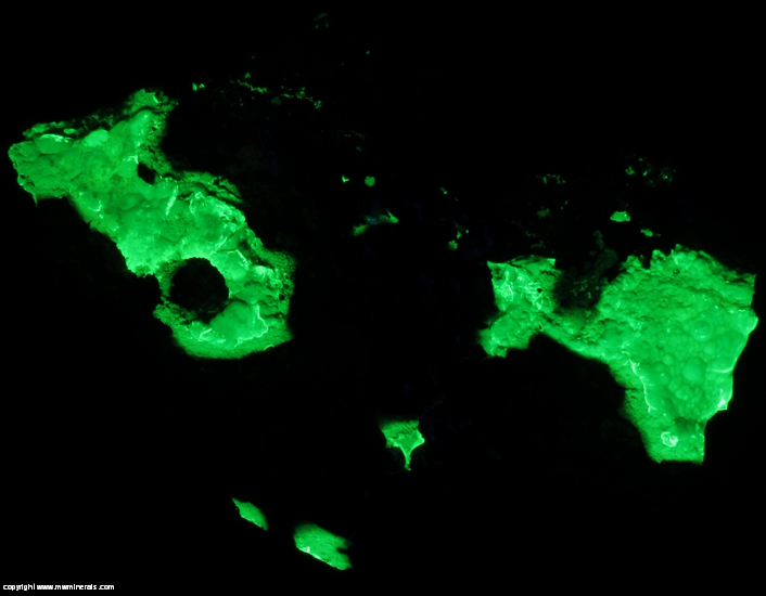 Fluorescent Mineral Specimen: Fluorescent Hyaline Opal with Included Uranium Compounds from Mina el Padre (Mina Esperanza), Mapimi, Durango, Mexico