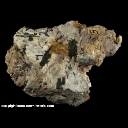 Minerals Specimen: Petarasite, Aegirine variety: Acminte, Nephiline Syenite from Desourdy Quarry (later incorparated into Poudrette Quarry), Mont Saint-Hilaire,  Monteregie, Quebec, Canada