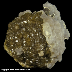 Mineral Specimen: Hemisphere of Andradite Garnet Crystals Partially Covered with Low Temperature Quartz from Bor Pit (Boron Pit), Dal'negorsk B deposit, Dal'negorsk, Primorskiy Kray, Far-Eastern Region, Russia Mineral Specimen: Hemisphere of Andradite Garnet Crystals Partially Covered with Low Temperature Quartz from Bor Pit (Boron Pit), Dal'negorsk B deposit, Dal'negorsk, Primorskiy Kray, Far-Eastern Region, Russia