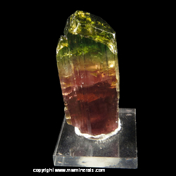 Mineral Specimen: Bicolor Gemmy Tourmaline from Barra do Salinas, Coronel Murta, Minas Gerais, Brazil