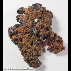 Mineral Specimen: Cuprite Crystals on Copper Crystals from Chino Mine, Santa Rita, Grant Co., New Mexico Mineral Specimen: Cuprite Crystals on Copper Crystals from Chino Mine, Santa Rita, Grant Co., New Mexico