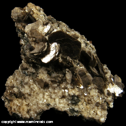 Mineral Specimen: Muscovite, Titanite, Albite, Chlorite, Hematite from Cavagnoli glacier area, Bavona Valley, Maggia Valley, Ticino (Tessin), Switzerland